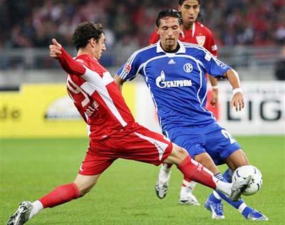 此种表现不 此种表现不